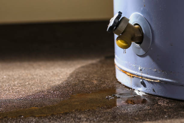 Best Water damage mitigation services  in Miami Lakes, FL