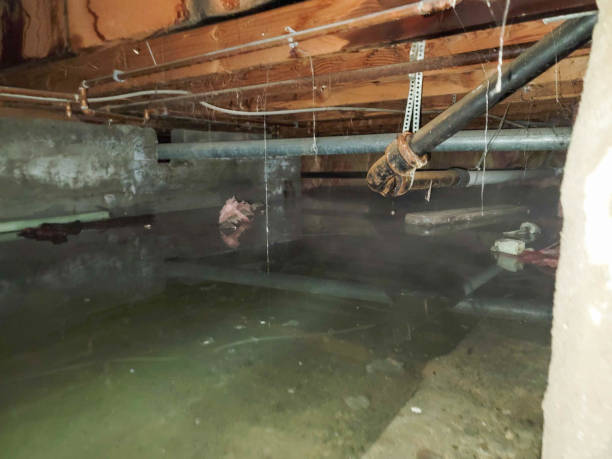 Best Water damage restoration near me  in Miami Lakes, FL