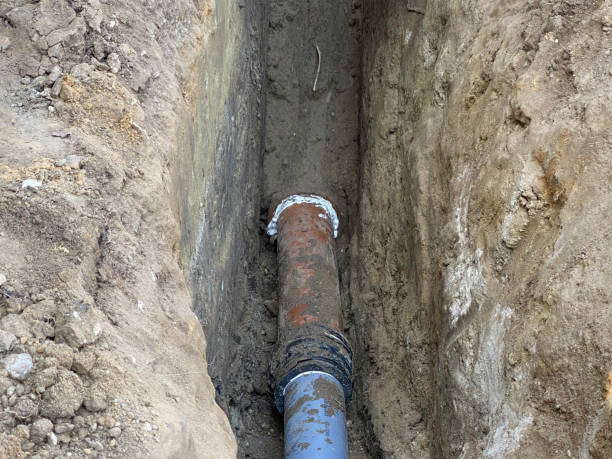 Best Flood damage cleanup  in Miami Lakes, FL