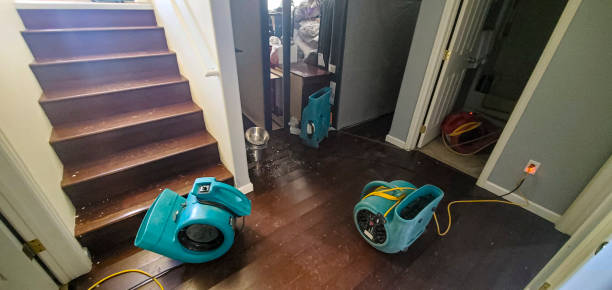 Best Water damage repair service  in Miami Lakes, FL