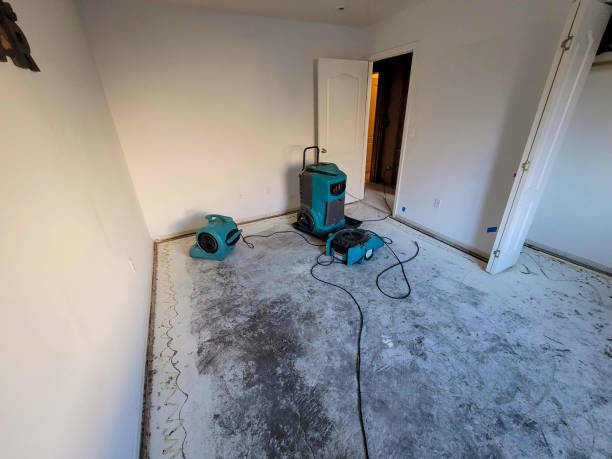Best Commercial water damage restoration  in Miami Lakes, FL