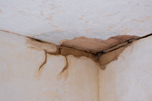 Best Sewage cleanup and water damage restoration  in Miami Lakes, FL