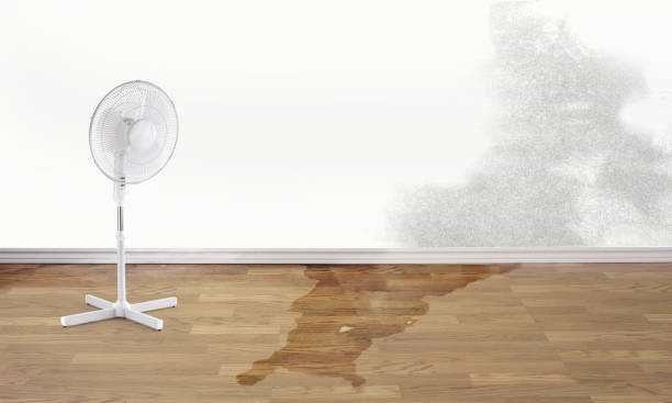 Best 24/7 water damage repair  in Miami Lakes, FL