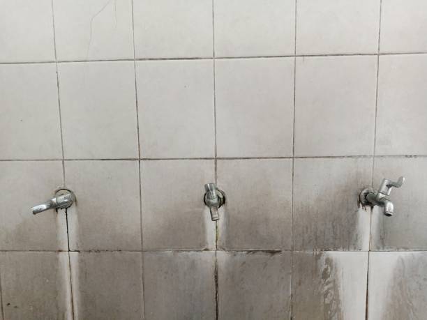Best Mold removal after water damage  in Miami Lakes, FL