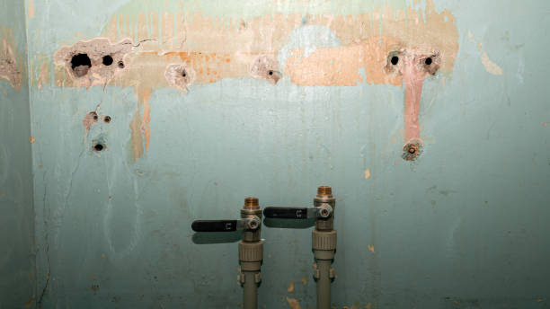 Best Professional water damage repair  in Miami Lakes, FL