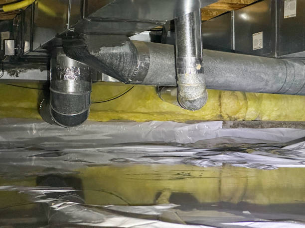 Best Water damage contractors near me  in Miami Lakes, FL