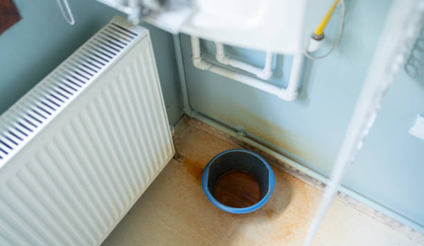 Best Carpet water damage restoration  in Miami Lakes, FL