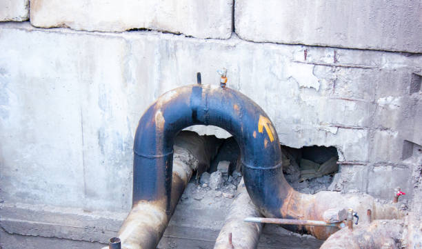 Best Water damage cleanup near me  in Miami Lakes, FL
