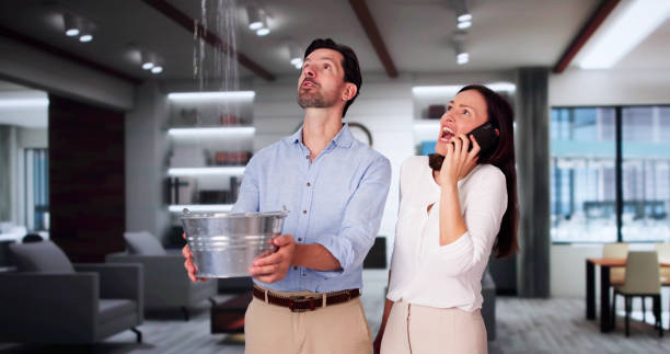 Best Fire Damage Restoration  in Miami Lakes, FL