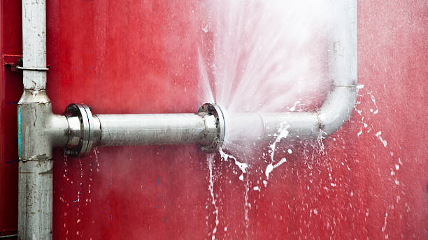 Best 24-hour water damage restoration  in Miami Lakes, FL